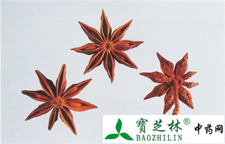 八角茴香及其混淆品的鉴别