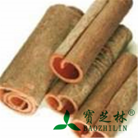 桂皮