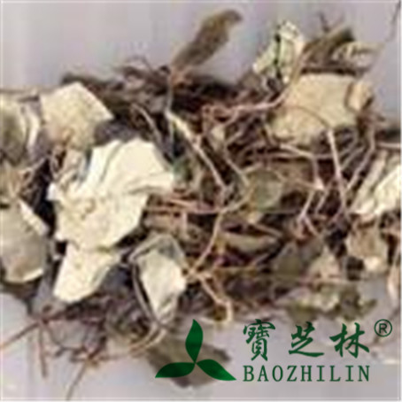 金钱草