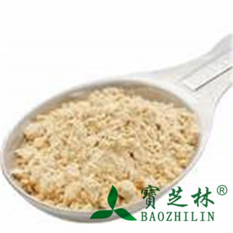 蛋白粉