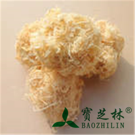 竹茹