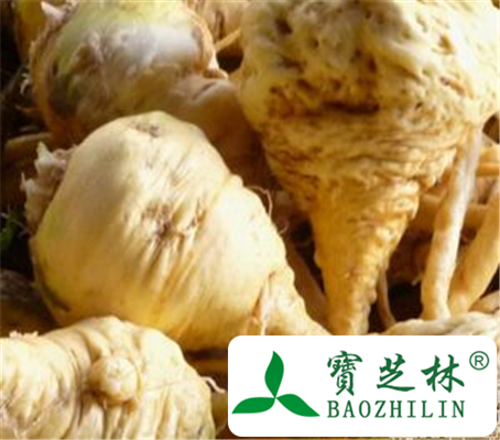 云南会泽玛卡的功效与作用 云南会泽玛卡的食用方法