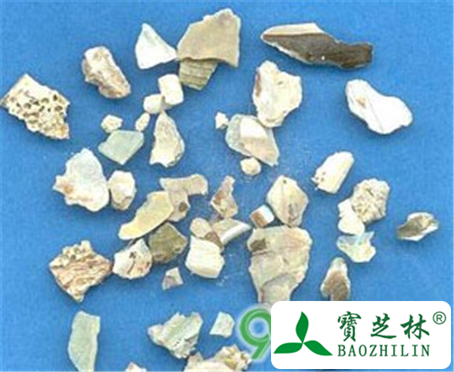 石决明的功效与作用