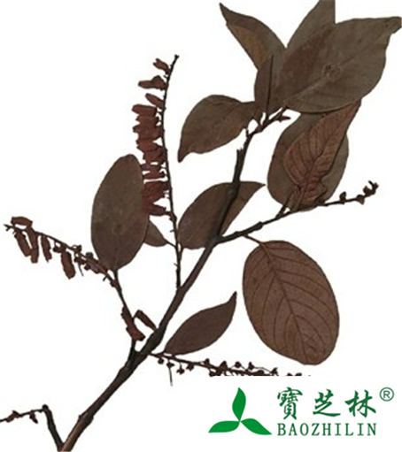 小米柴的功效与作用