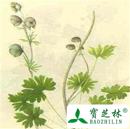 船盔乌头的功效与作用