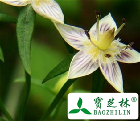 淡花当药的功效与作用