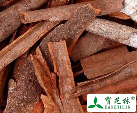 香桂皮的功效与作用