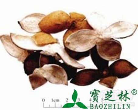 青皮的作用与功效