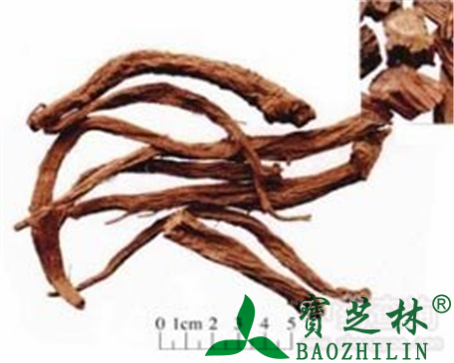 续断的作用与功效