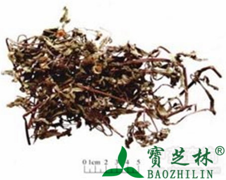 墨旱莲的作用与功效