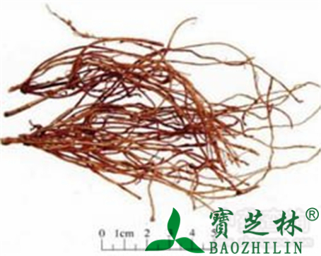 徐长卿的作用与功效