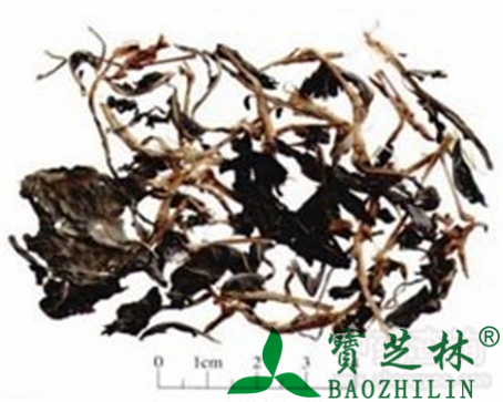 蓼大青叶的作用与功效