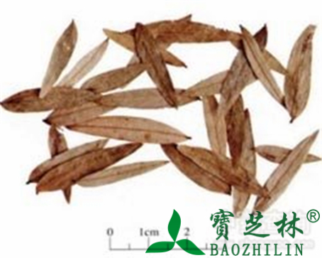 番泻叶的作用与功效
