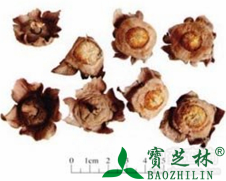 柿蒂的作用与功效