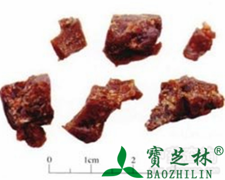 阿魏的作用与功效