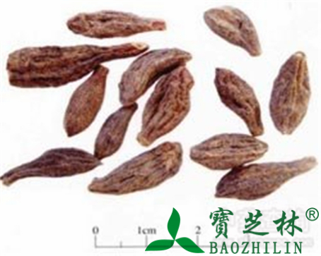 西青果的作用与功效