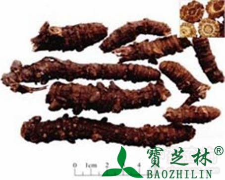 羌活的作用与功效