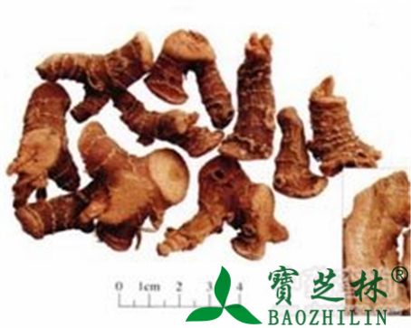 高良姜的作用与功效
