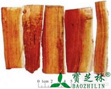苏木的作用与功效