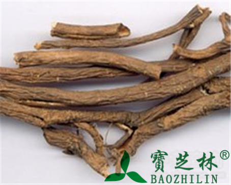 五加皮的作用与功效
