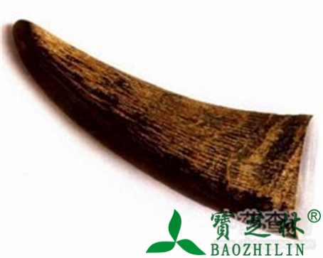 水牛角的作用与功效