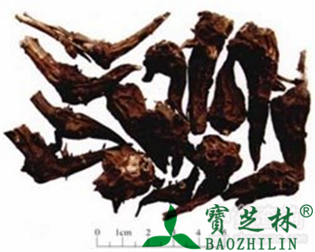 草乌的作用与功效