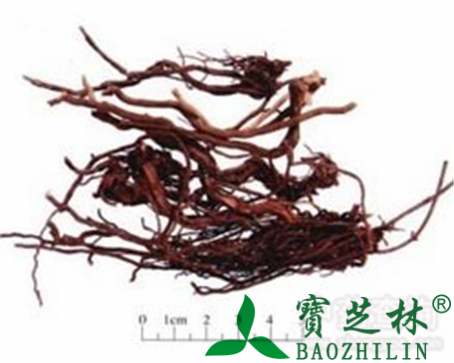 茜草的作用与功效