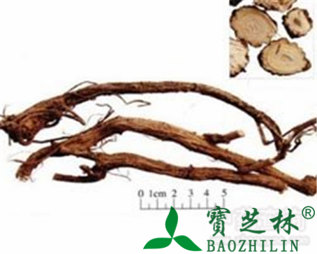 大戟的作用与功效