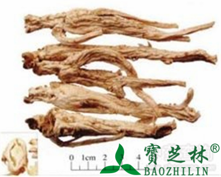 桔梗的作用与功效