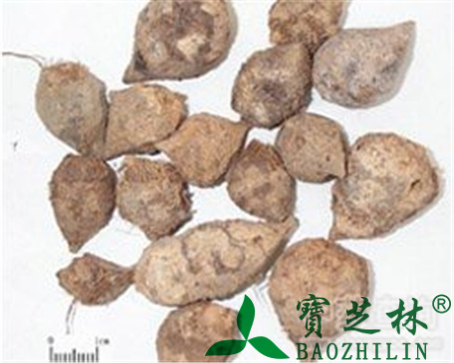三棱的作用与功效
