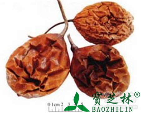 瓜蒌的作用与功效