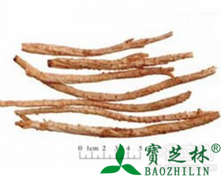 北沙参的作用与功效