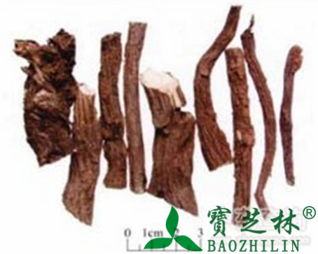 地榆的作用与功效