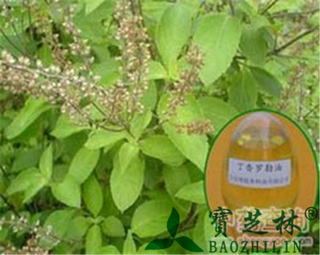 丁香罗勒油的作用与功效
