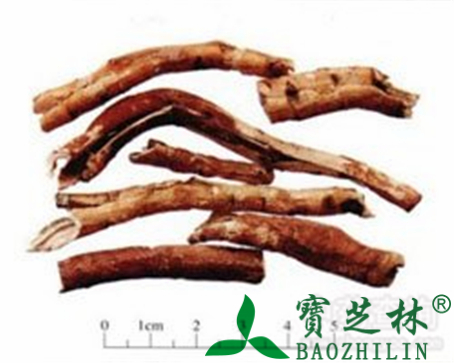 牡丹皮的作用与功效
