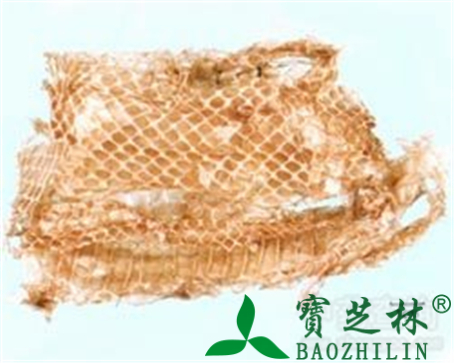 蛇蜕的作用与功效
