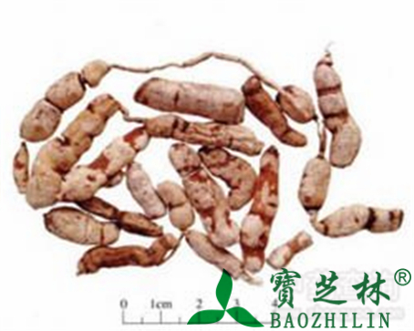 甘遂的作用与功效