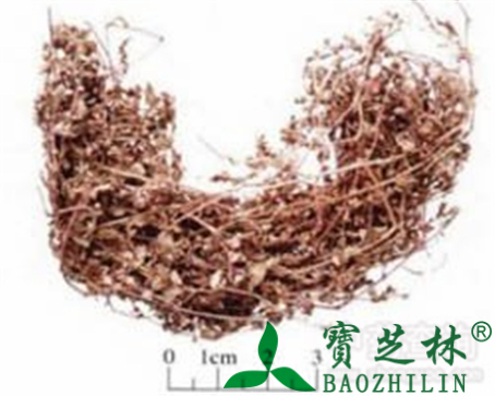 地锦草的作用与功效