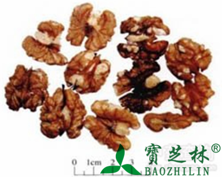 核桃仁的作用与功效