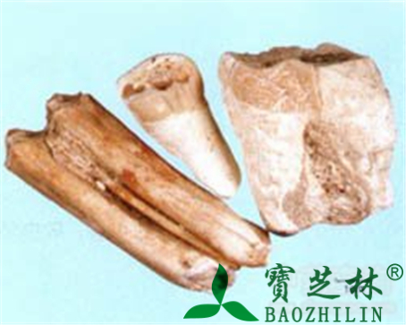 龙齿的作用与功效