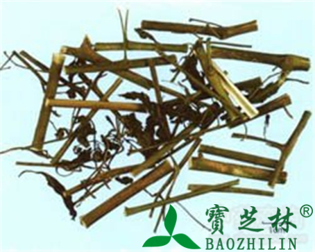 龙葵的作用与功效