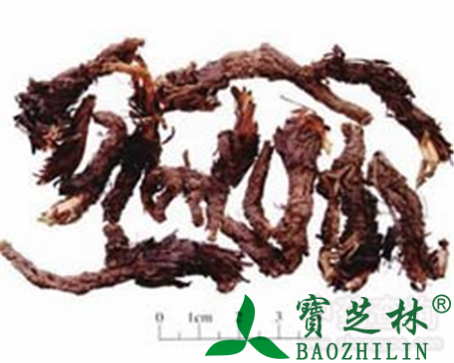 甘松的作用与功效