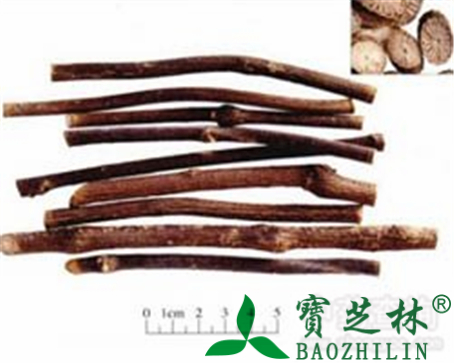 青风藤的作用与功效