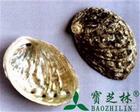 石决明的作用与功效