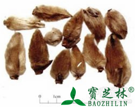 辛夷的作用与功效