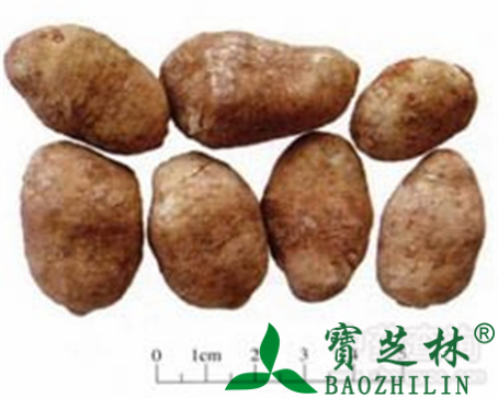 白附子的作用与功效