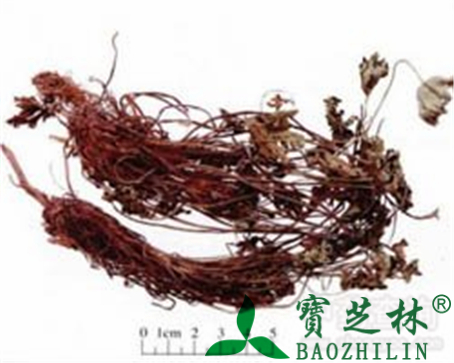 老鹳草的作用与功效