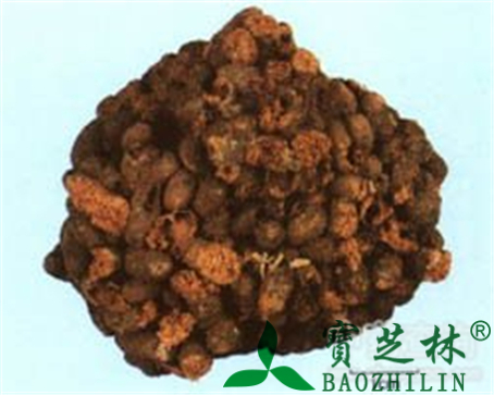 五灵脂的作用与功效
