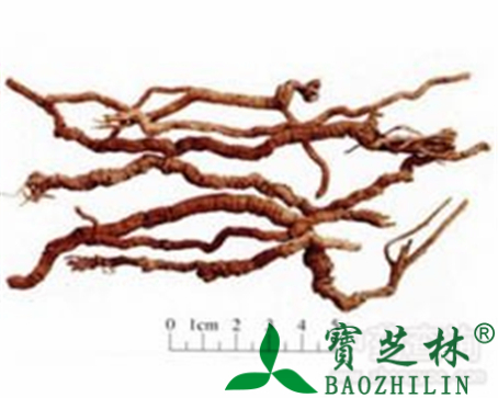 远志的作用与功效