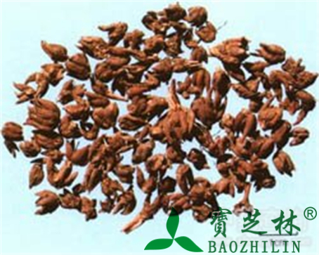 猫爪草的作用与功效